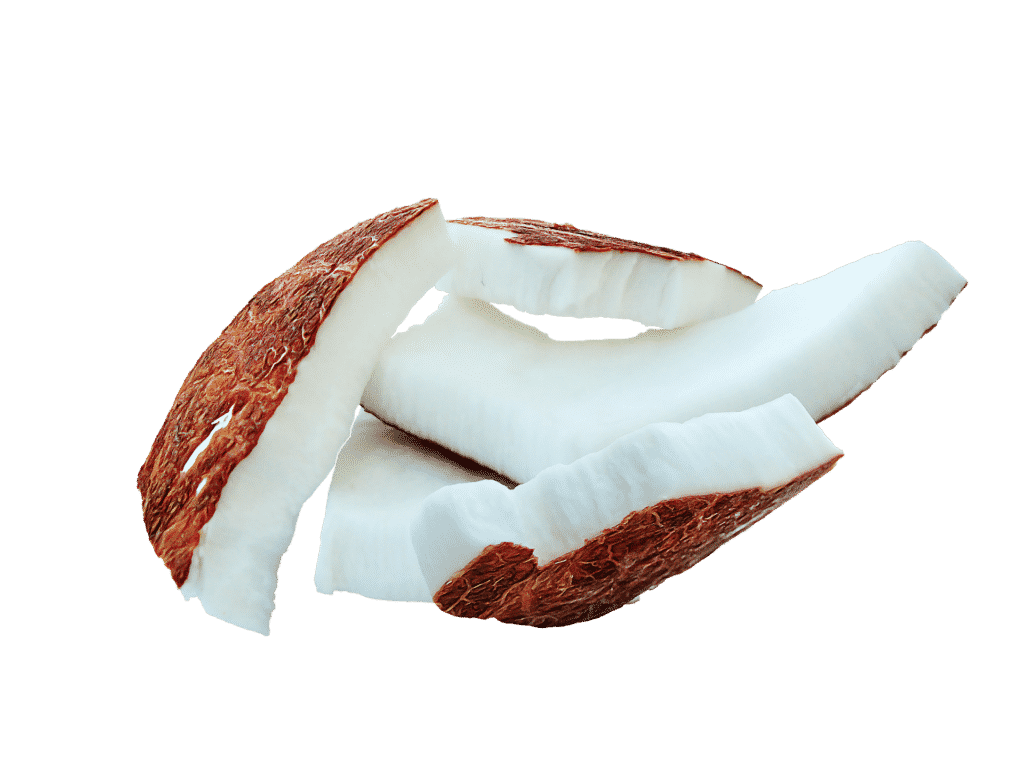 coconut-895390_1920