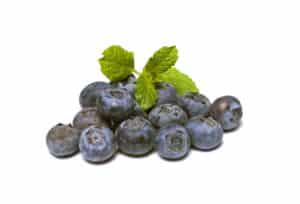 blueberries-894839_1920