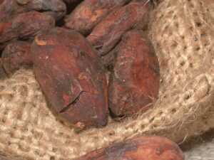 cacao-beans-91083_1920
