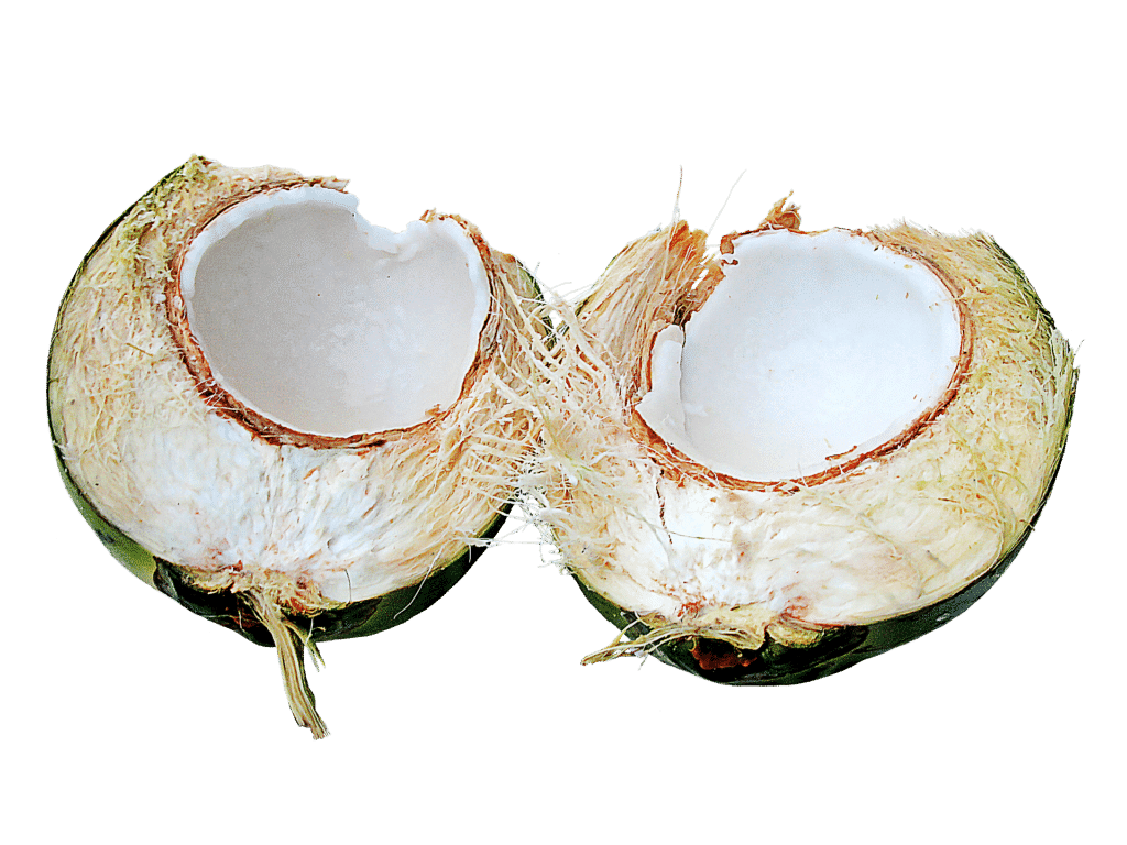 coconut-714327_1920